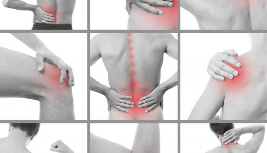 Le méthylsulfonylméthane bio (MSM) soulage naturellement la douleur articulaire en favorisant la formation de tissu conjonctif sain dans les articulations et les muscles.